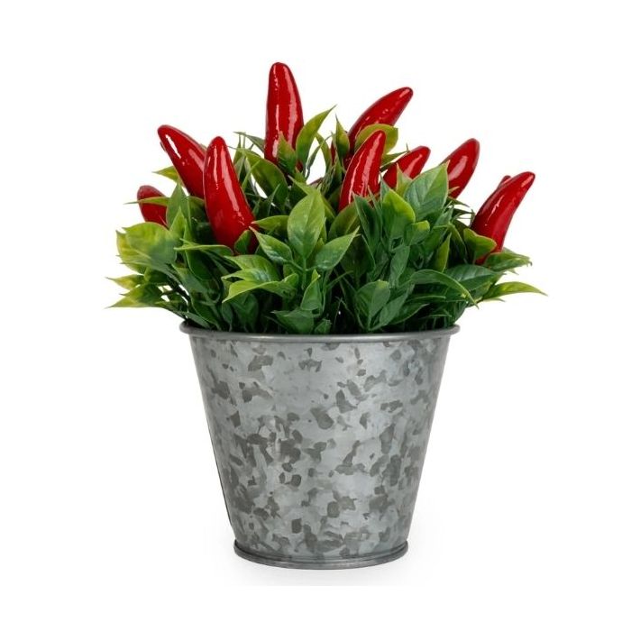 Candlelight Chillies in Tin 15cm