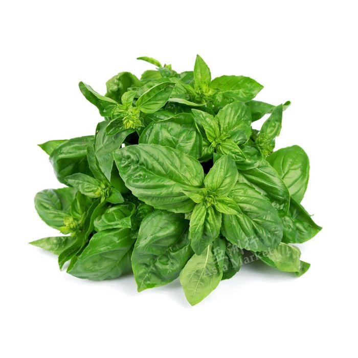 Fresh Sweet Basil