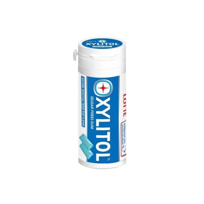 Lotte Xylitol Sugar Free Chewing Gum Mint Flavour 29g 無糖口香糖青檸薄荷味