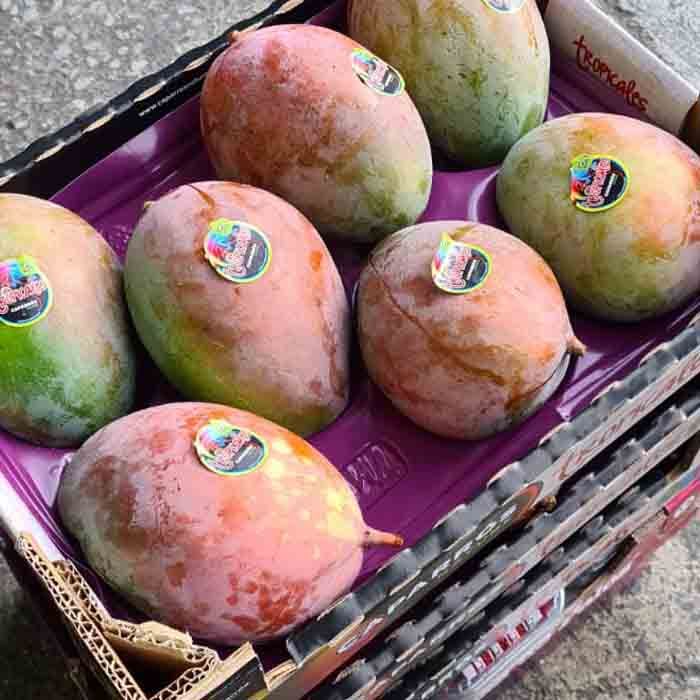 Mango ( A Case) 