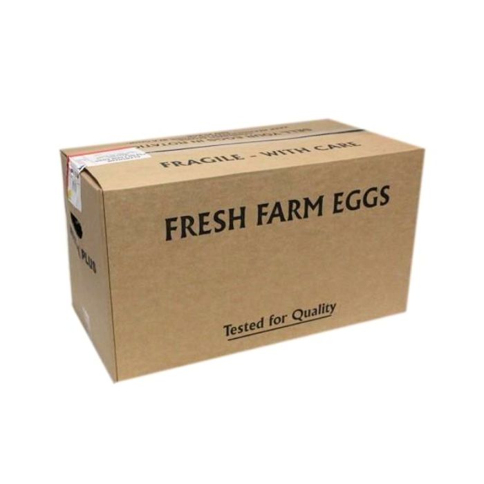 GLENSHANE Fresh Farm Eggs 360pc 新鮮雞蛋
