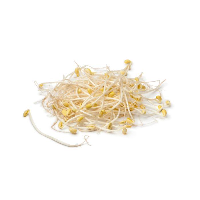 Fresh Beansprout (Bag) 4kg 芽菜