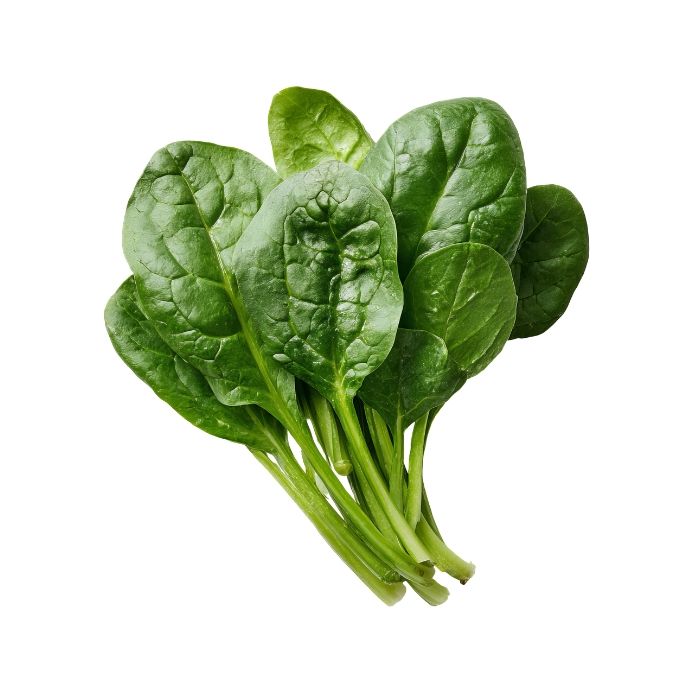 Fresh Spinach 4kg 新鮮菠菜