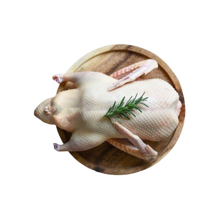[CASE] SILVERHILL 2200 Frozen Ovenready Duckling 2.2kg 生鴨
