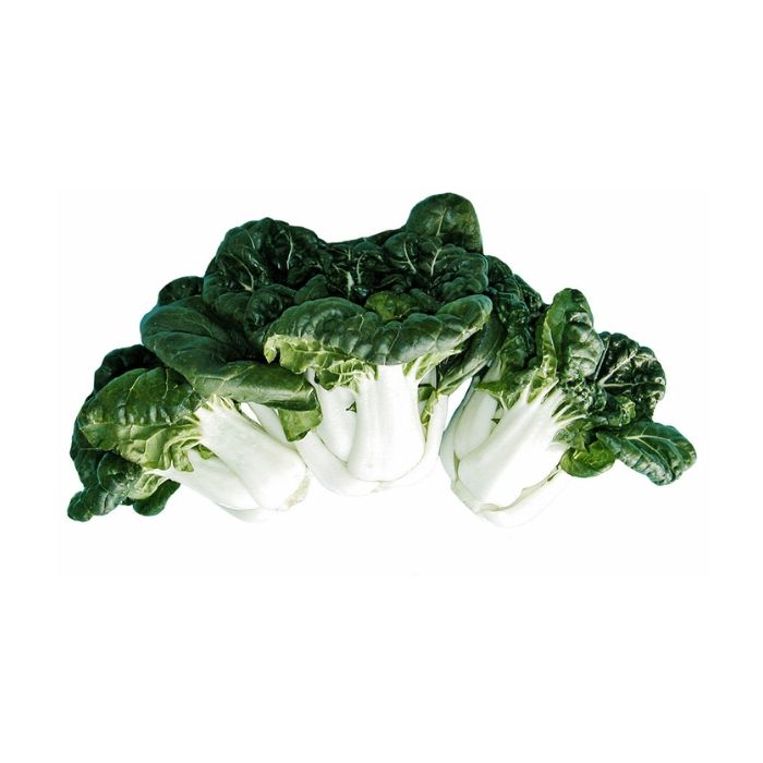 [FRESH] Mini Pak Choi 7kg 新鲜优质迷你小白菜
