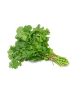 Fresh Coriander Leaves 1 Branch