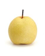 新鲜黄金梨1个