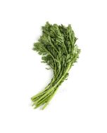 FRESH Tong Ho (Chinese Crown Daisy Leaf Vegetable) 500g (Approximate Weight)