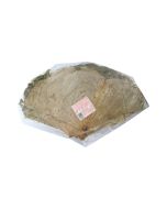 GOLDEN LION Dried Lotus Leaf 200g 金獅牌蓮葉