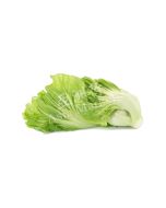 FRESH Kai Choi 500g