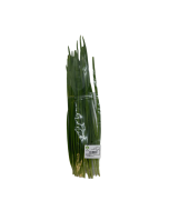 Fresh Chinese Chive Leaf 100g 