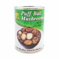CHANG Puff Ball Mushrooms in Brine 565g 馬勃