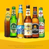 Mix and Match Asian Beer Bundle