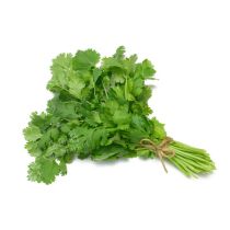 Fresh Coriander Leaves 1 Branch