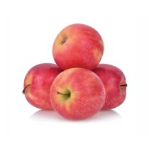FRESH Pink Lady Apple 1pc