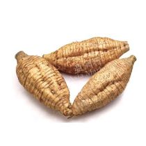 FRESH Pueraria Roots 1Kg