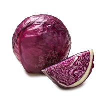 FRESH Purple Cabbage (Red Cabbage) 1pc