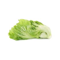 FRESH Kai Choi 500g