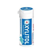 Lotte Xylitol Sugar Free Chewing Gum Mint Flavour 29g 無糖口香糖青檸薄荷味