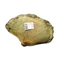 GOLDEN LILY Dried Lotus Leaf 454g   蓮葉