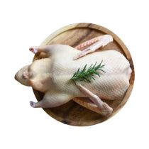 [CASE] SILVERHILL 2200 Frozen Ovenready Duckling 2.2kg 生鴨
