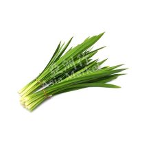 FRESH Pandan Leaves 200g 
