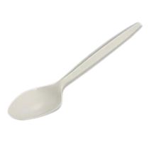 PSM Premium Spoons 100pc x 10 環保一次性勺