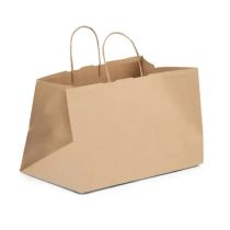  Paper Carrier for Duck Shop (25x12x32cm) 400pc x 1 鴨店用紙袋
