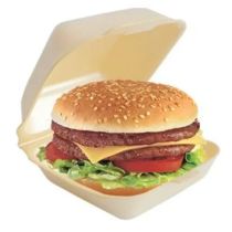  Food Trays HB6 Hot Box Large Burger 500pc x 1 漢堡盒 (大號)