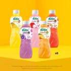 Mix and Match Kato Nata De Coco Drink Bundle (Each Pack of 6)
