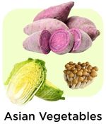 Fresh Vegetables