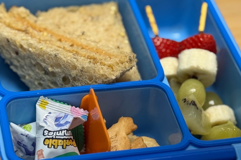 Kaya Peanut Butter Sandwich Lunch Box by Eva Pau