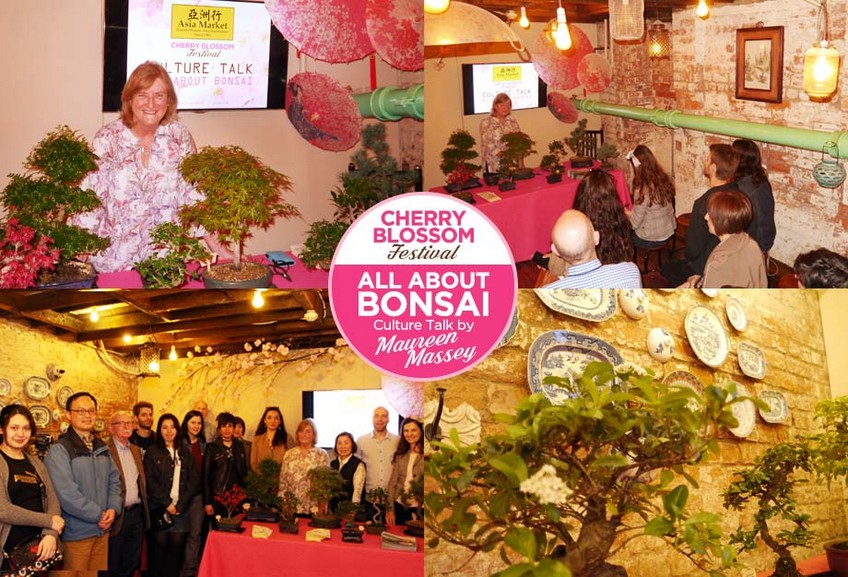 2018-CultureTalk-bonsai 2018-CultureTalk-bonsai