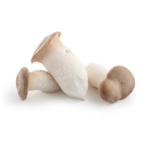 FRESH King Oyster Mushrooms 1 Pack (3 pieces)