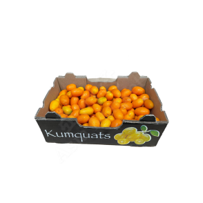 CASE Fresh Kumquats 2kg 